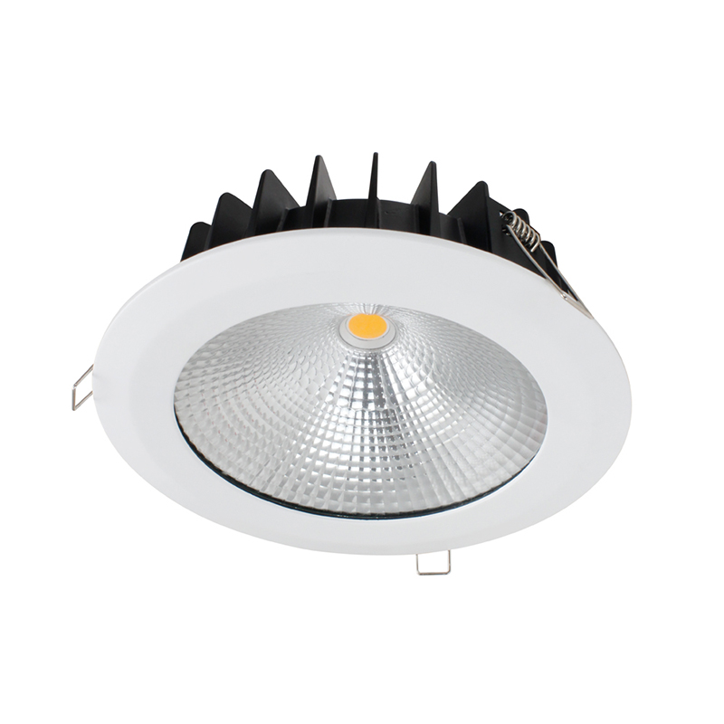 IP65 COB Downlight