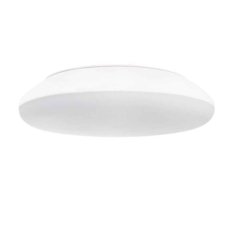 IP65 Ceiling Light