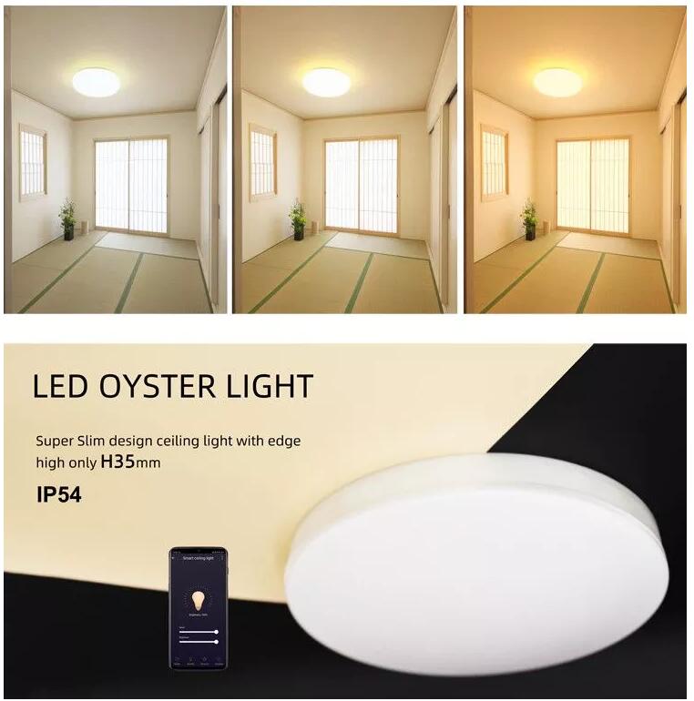 3 spot ceiling light