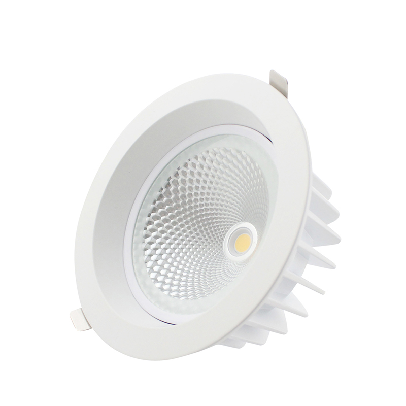 LED Downlight Light