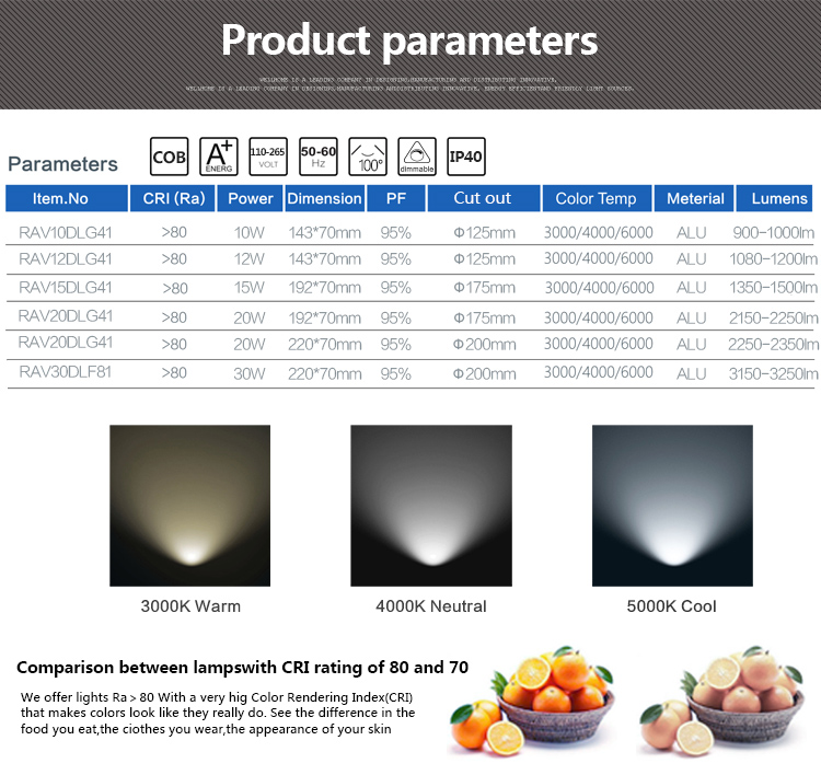 LED Downlight Light