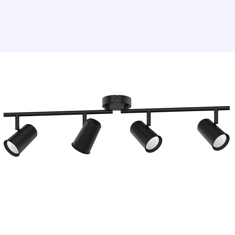 2 light ceiling spot fixture