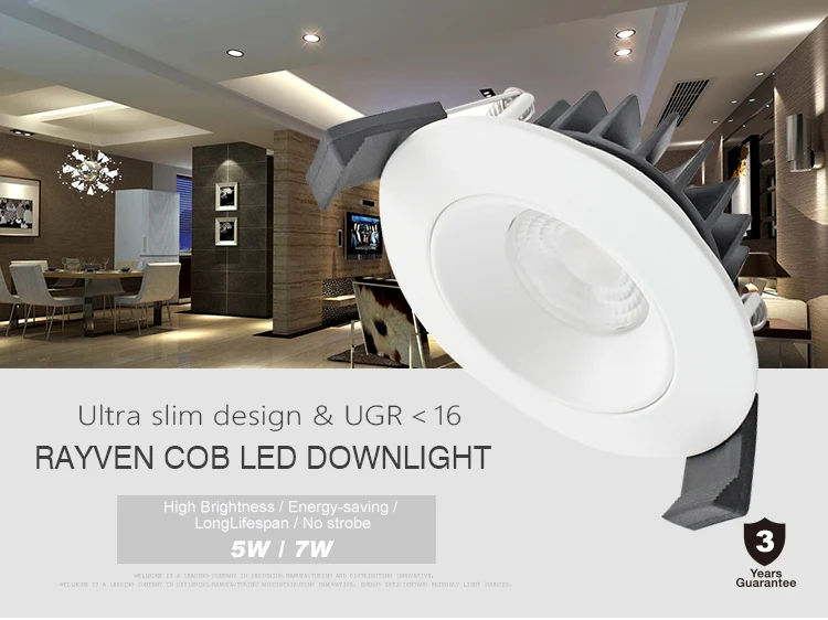 Rayven COB LED Downlights