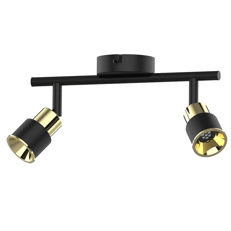 Knowing Ceiling Mounted Telescoping Spot Lights